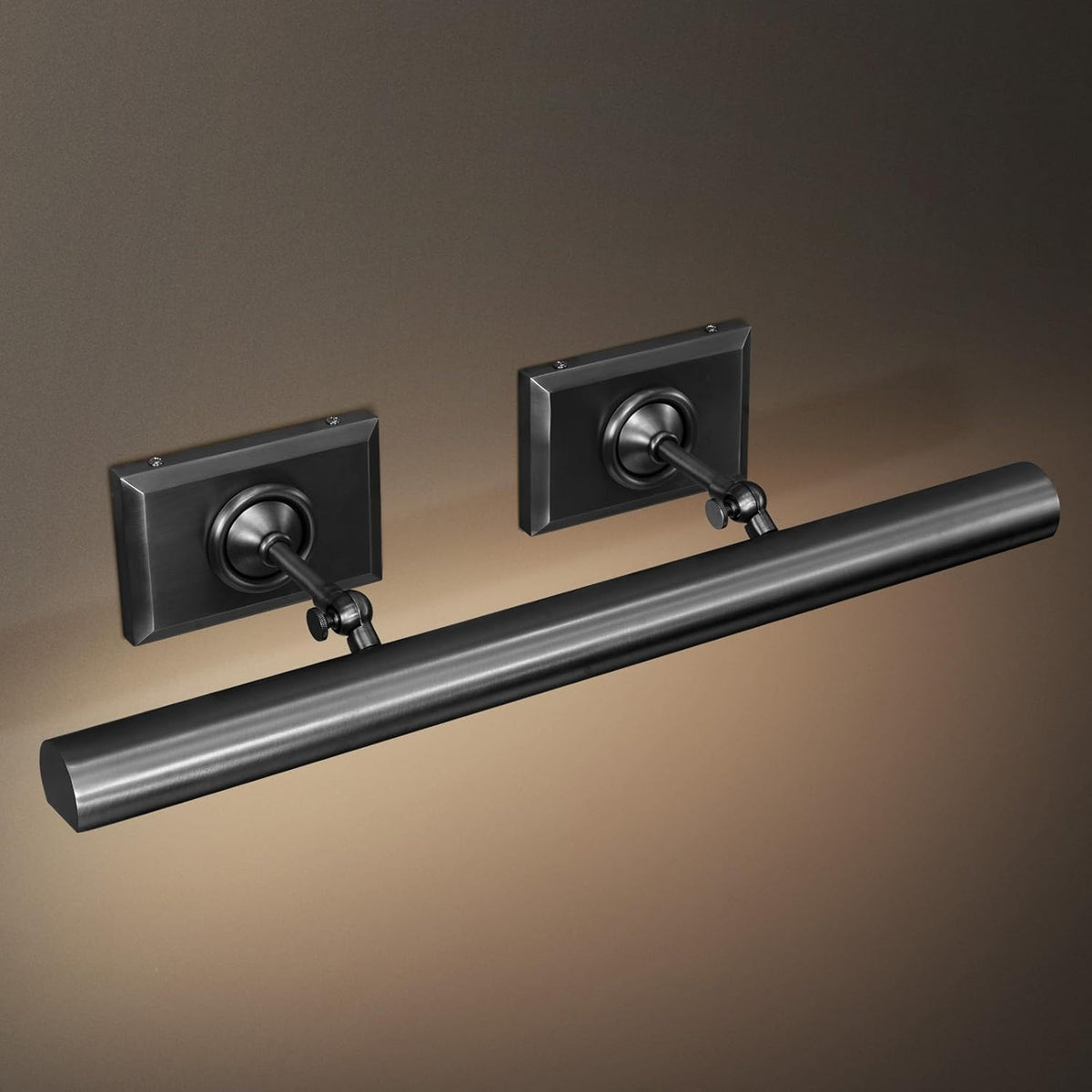 Anite Picture Light