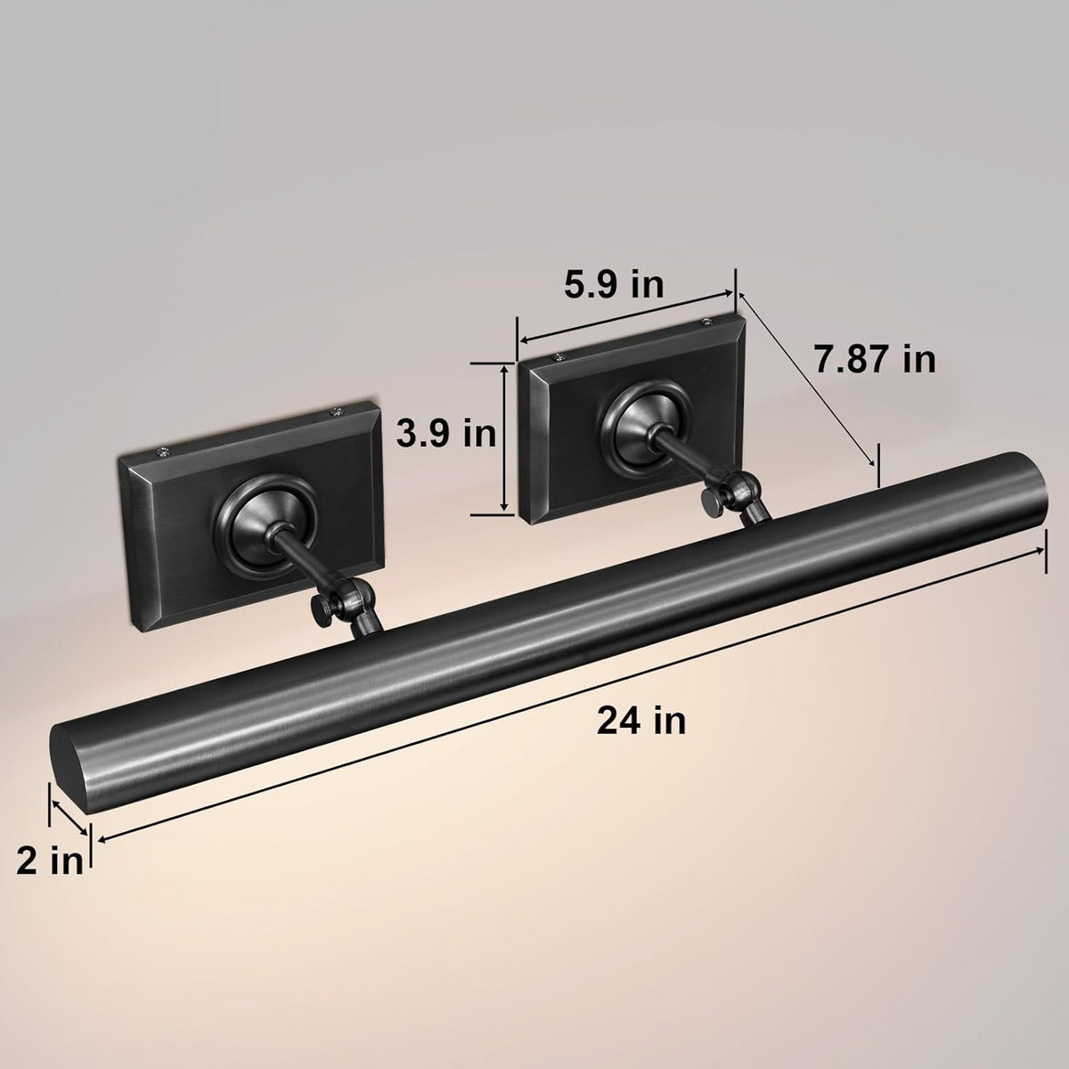 Anite Picture Light