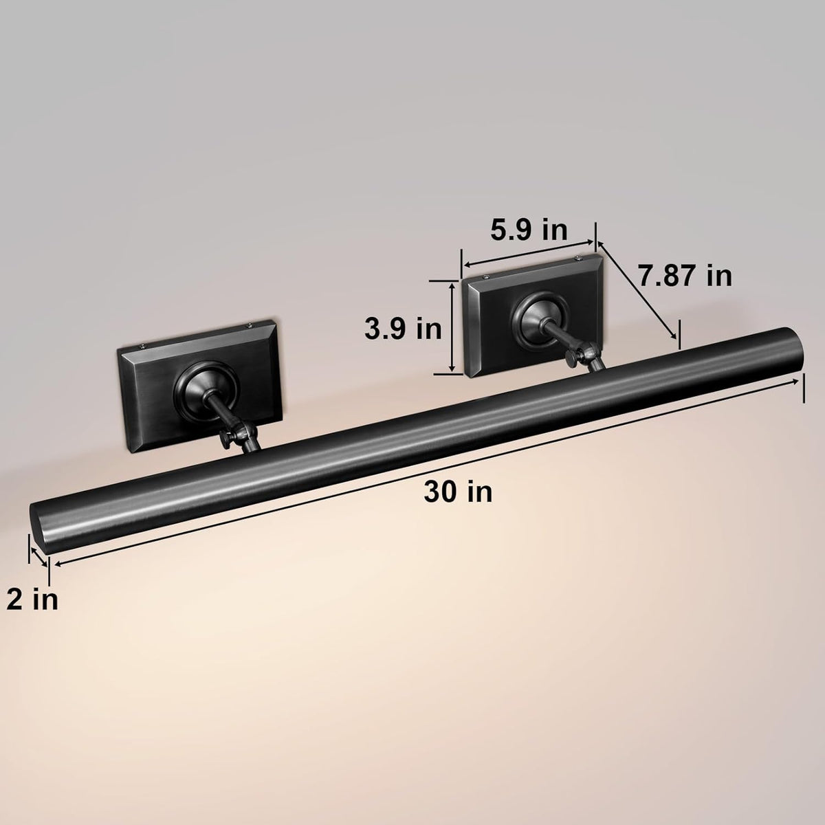 Anite Picture Light