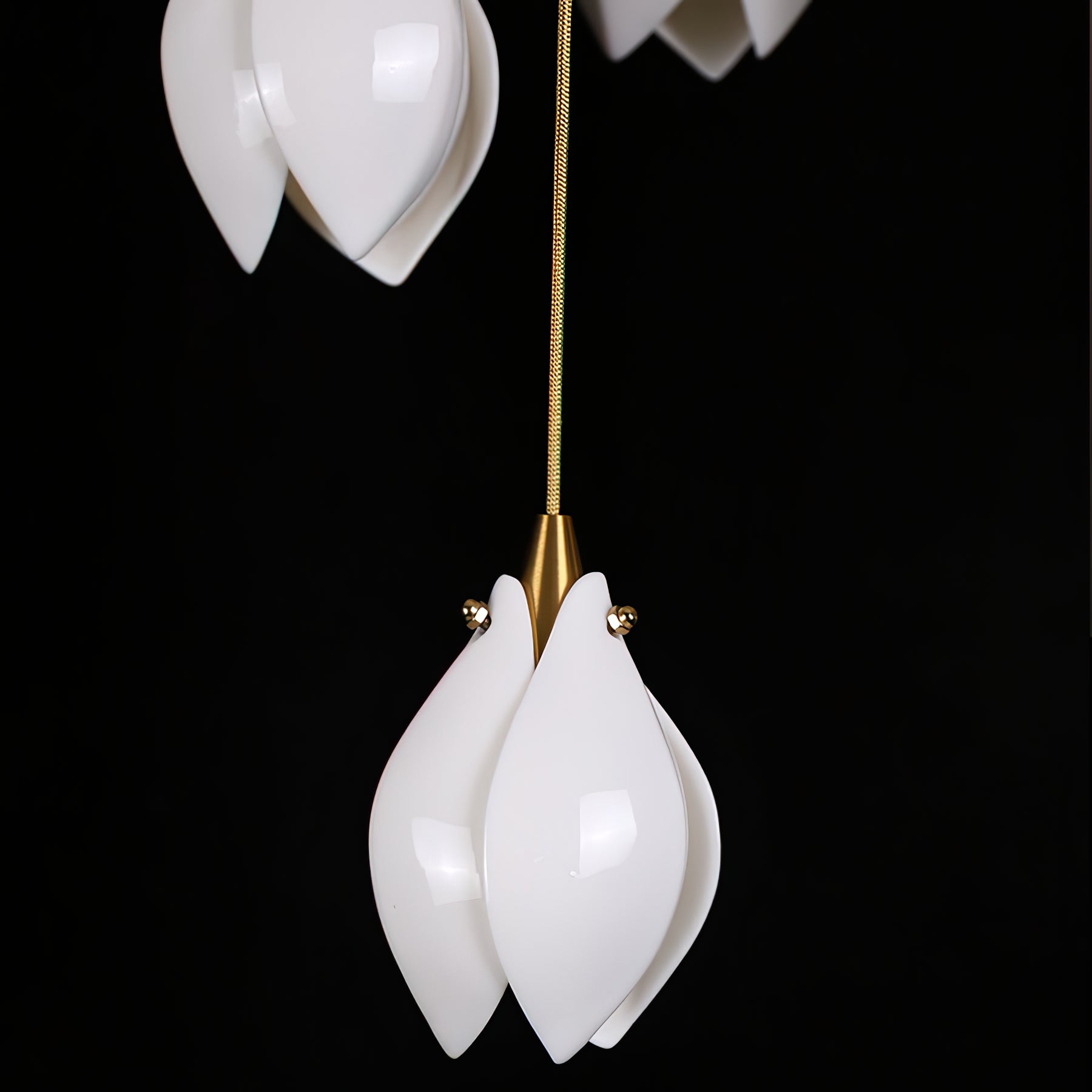 Galaxy Celeste Flora Crystal Spiral Chandelier