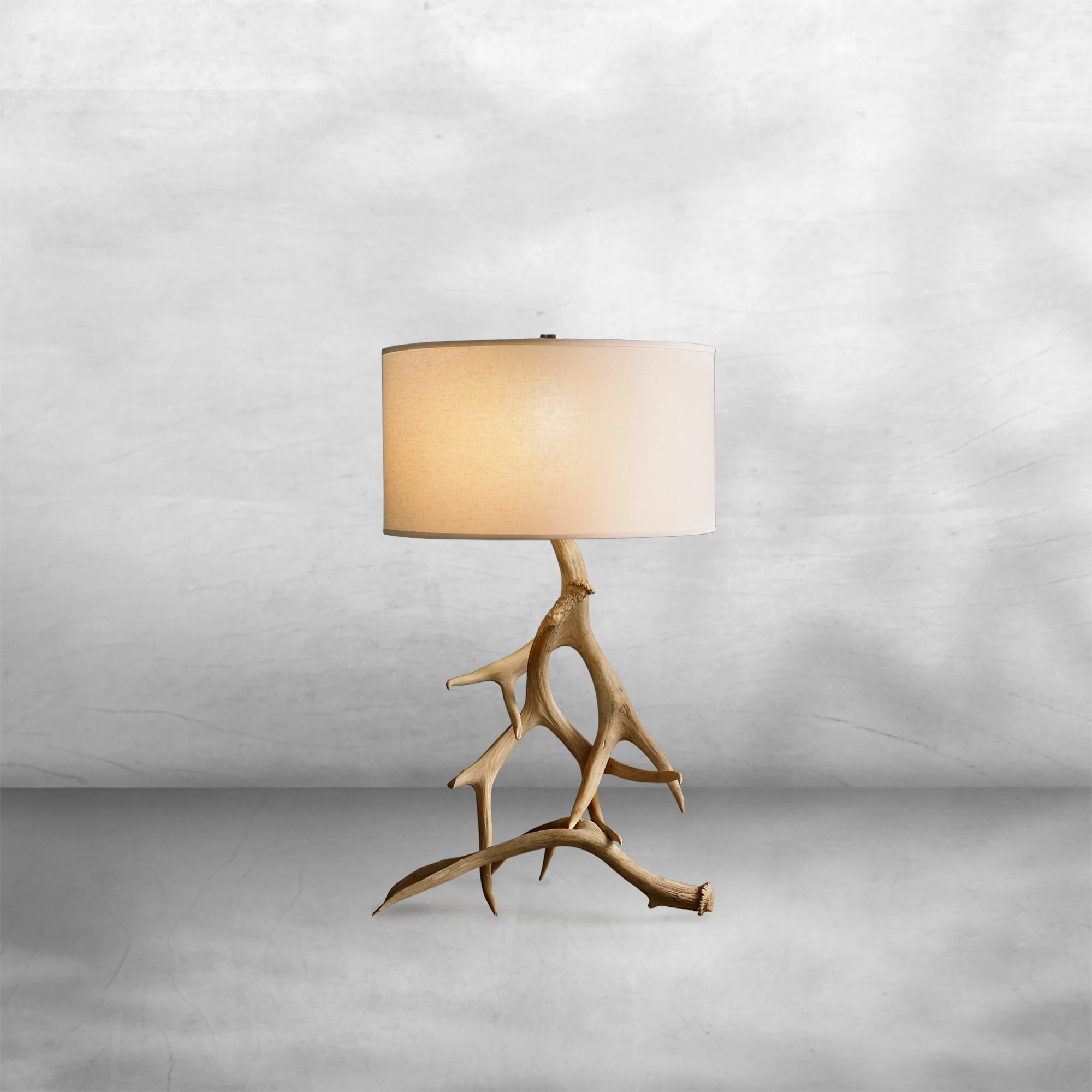 Deer Antler Table Lamp
