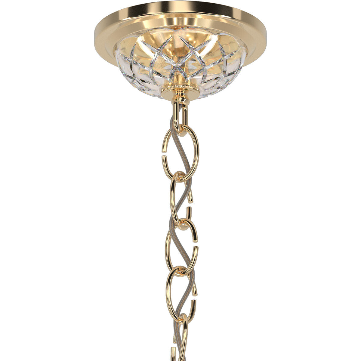 Coinora Century Chandelier 42"