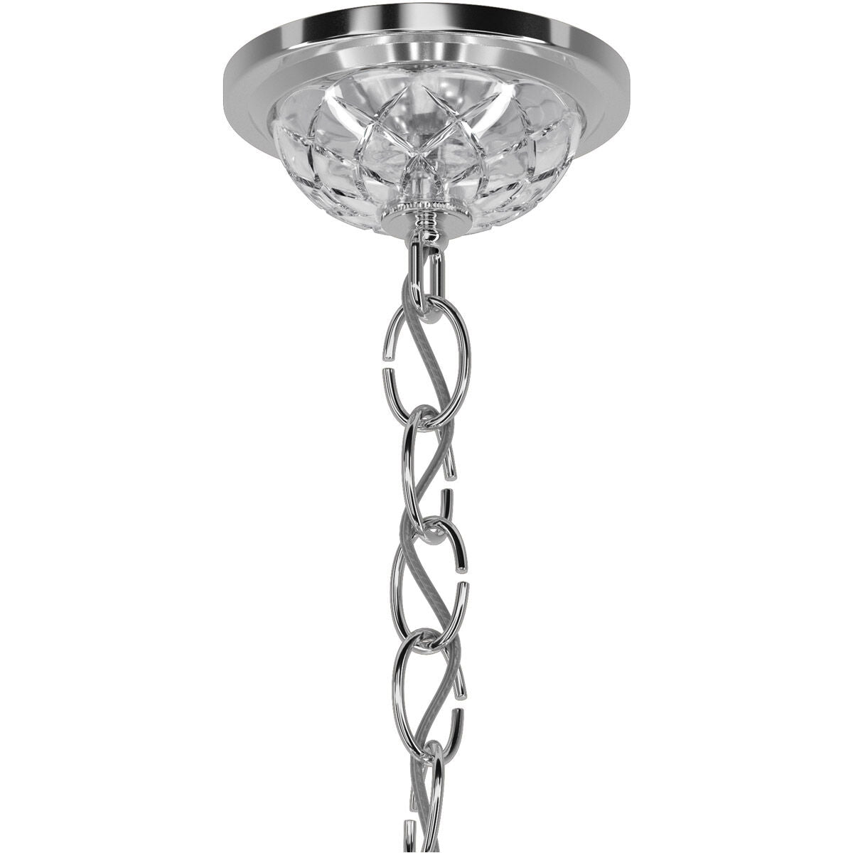 Coinora Century Chandelier 42"