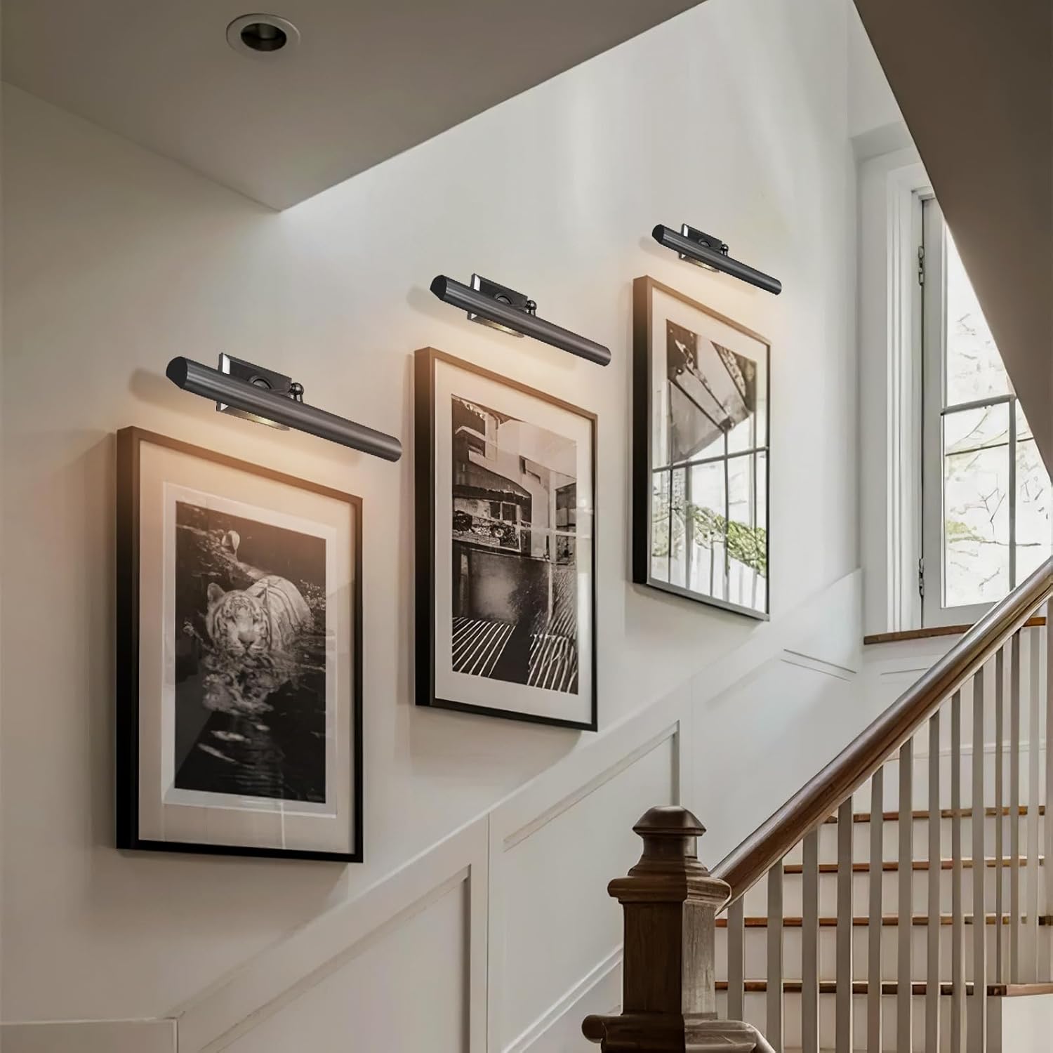 Anite Picture Light