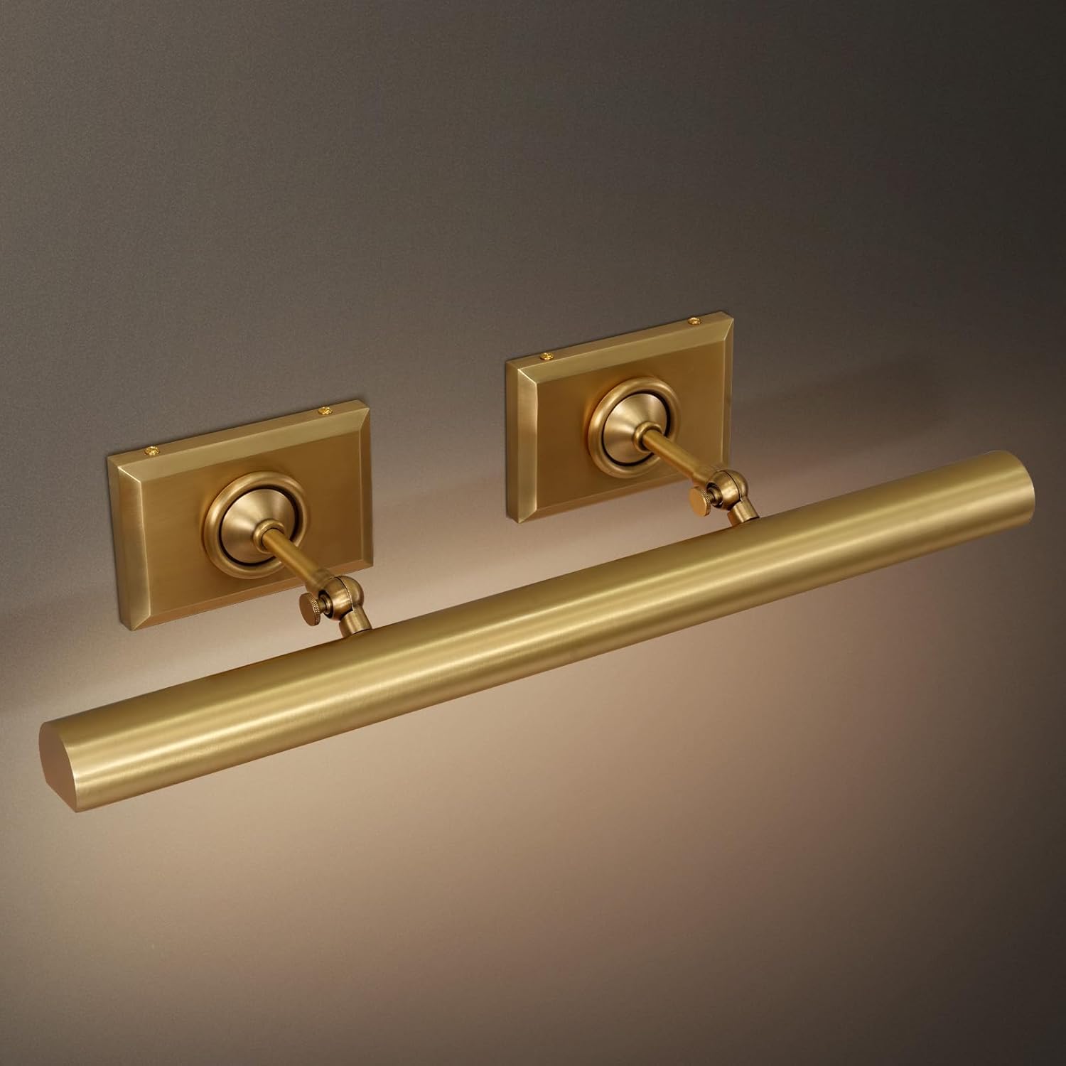 Anite Picture Light