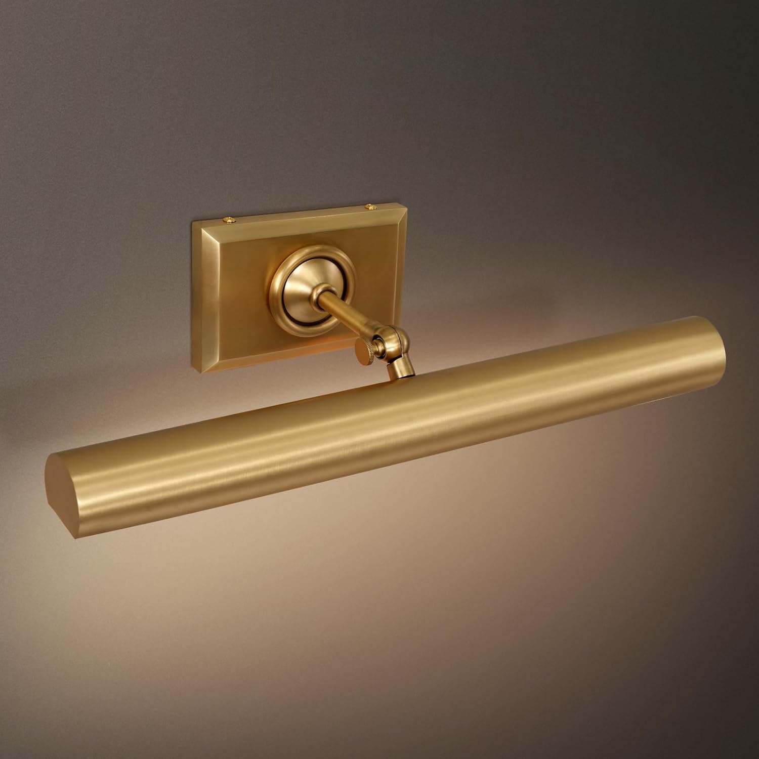 Anite Picture Light