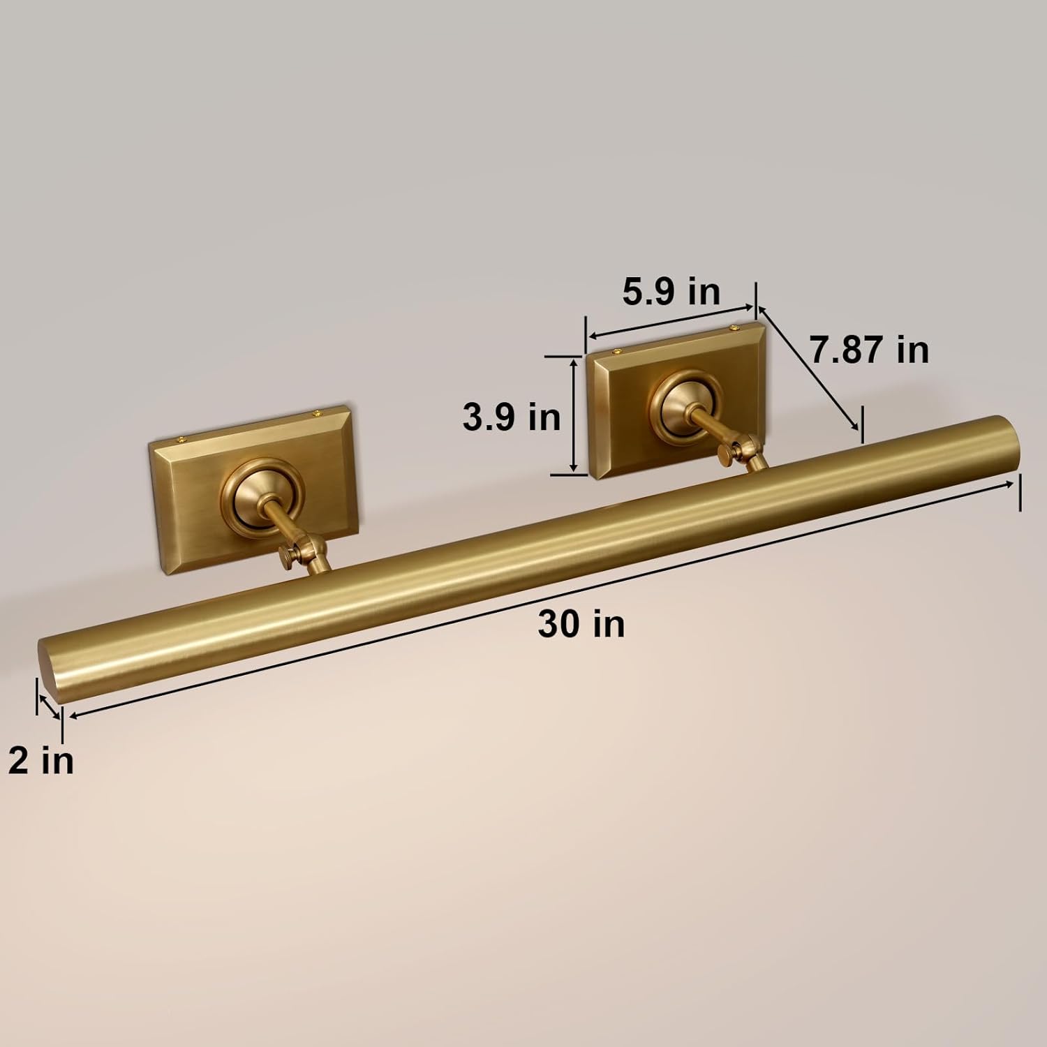 Anite Picture Light