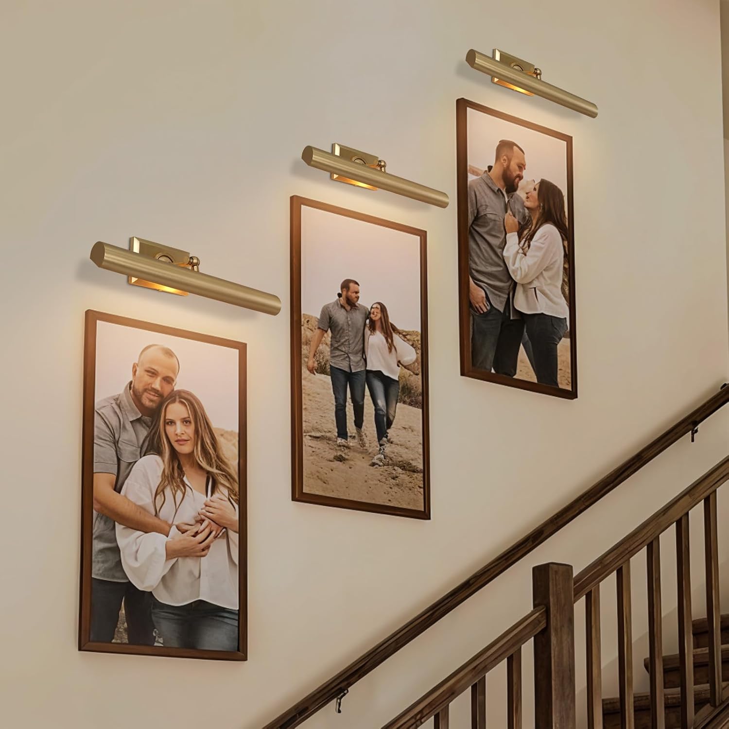 Anite Picture Light