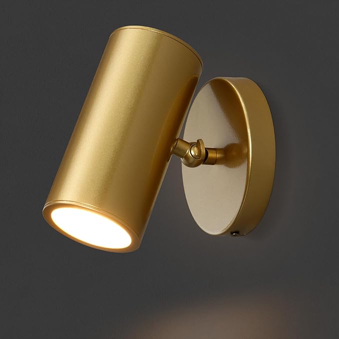 Gold Brass Picture Light Sconce with Adjustable LED, Wall Mount