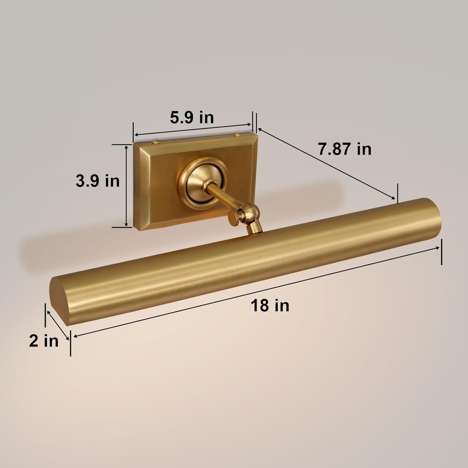 Anite Picture Light