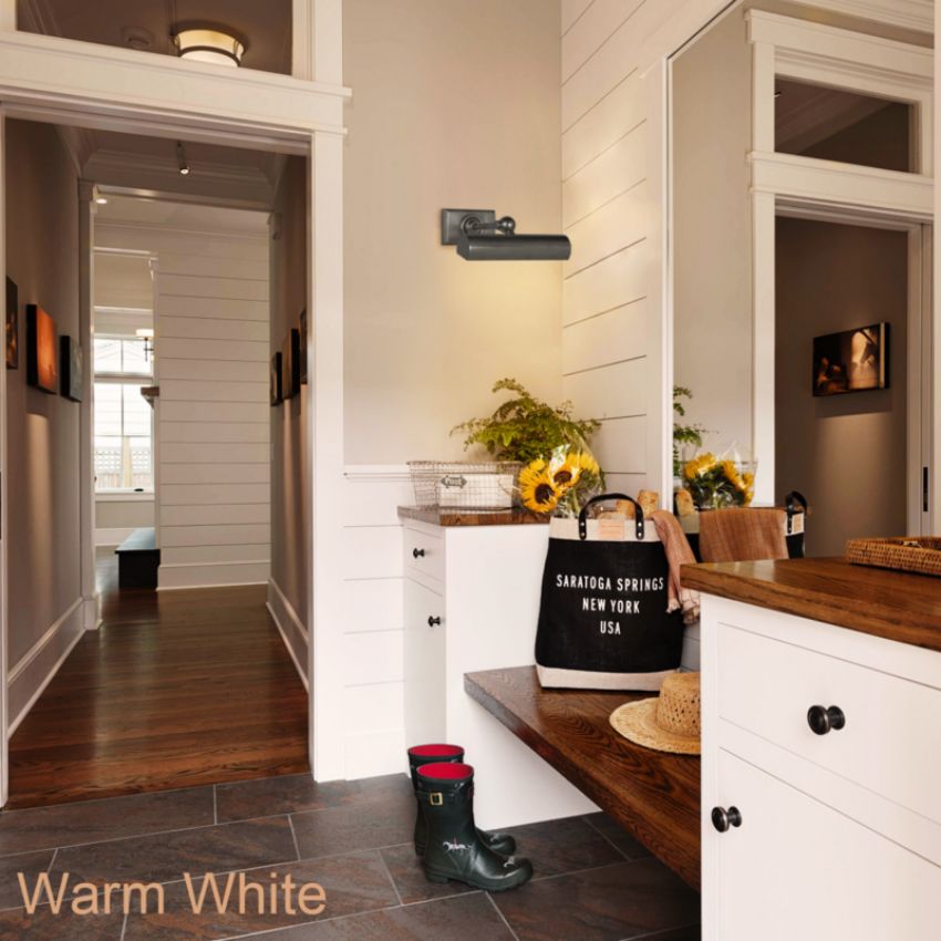 JC Brass Picture Light