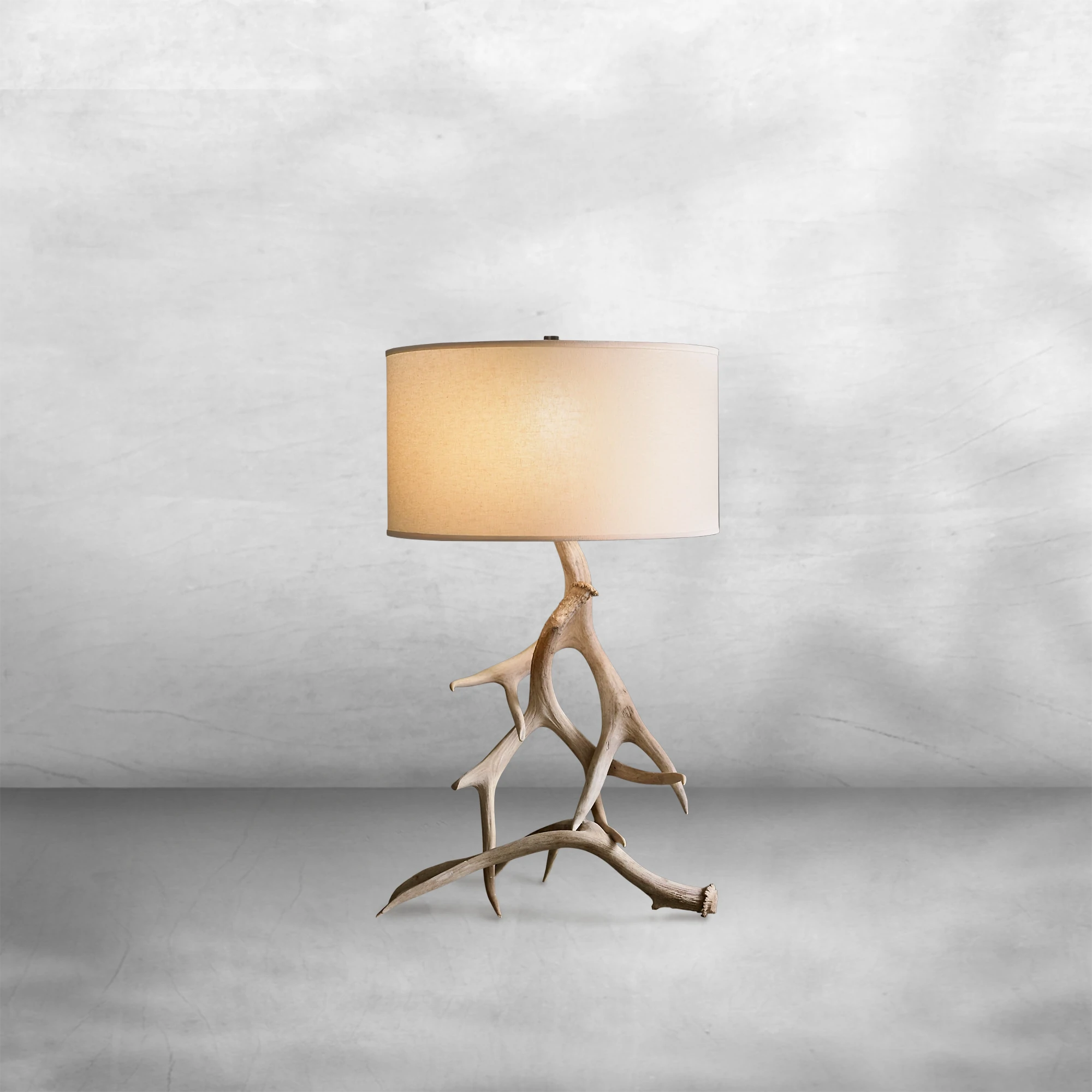 Deer Antler Table Lamp